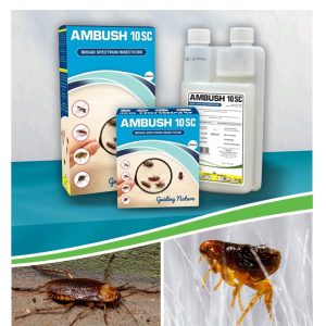 Ambush 10SC Concentrate