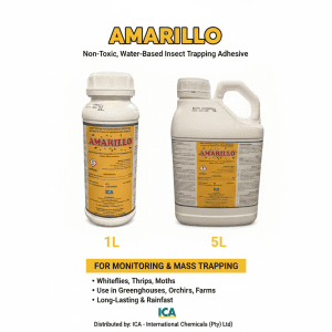 Amarillo Fly Trap